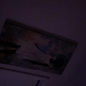 Meet your Posher, India